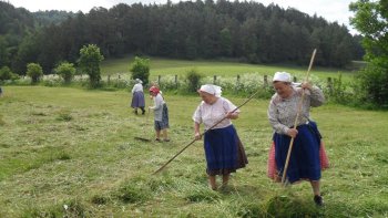 Súťaž v kosení 2015