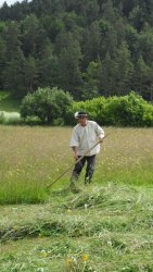 Súťaž v kosení 2015