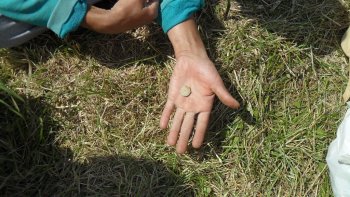 Kostol na Sihoti Kostol na Sihoti