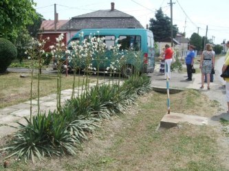 Guľášová Vareška