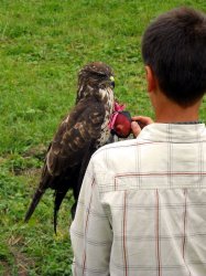 Stretnutie Slavkovčanov 29.9.2012 Stretnutie Slavkovčanov 29.9.2012